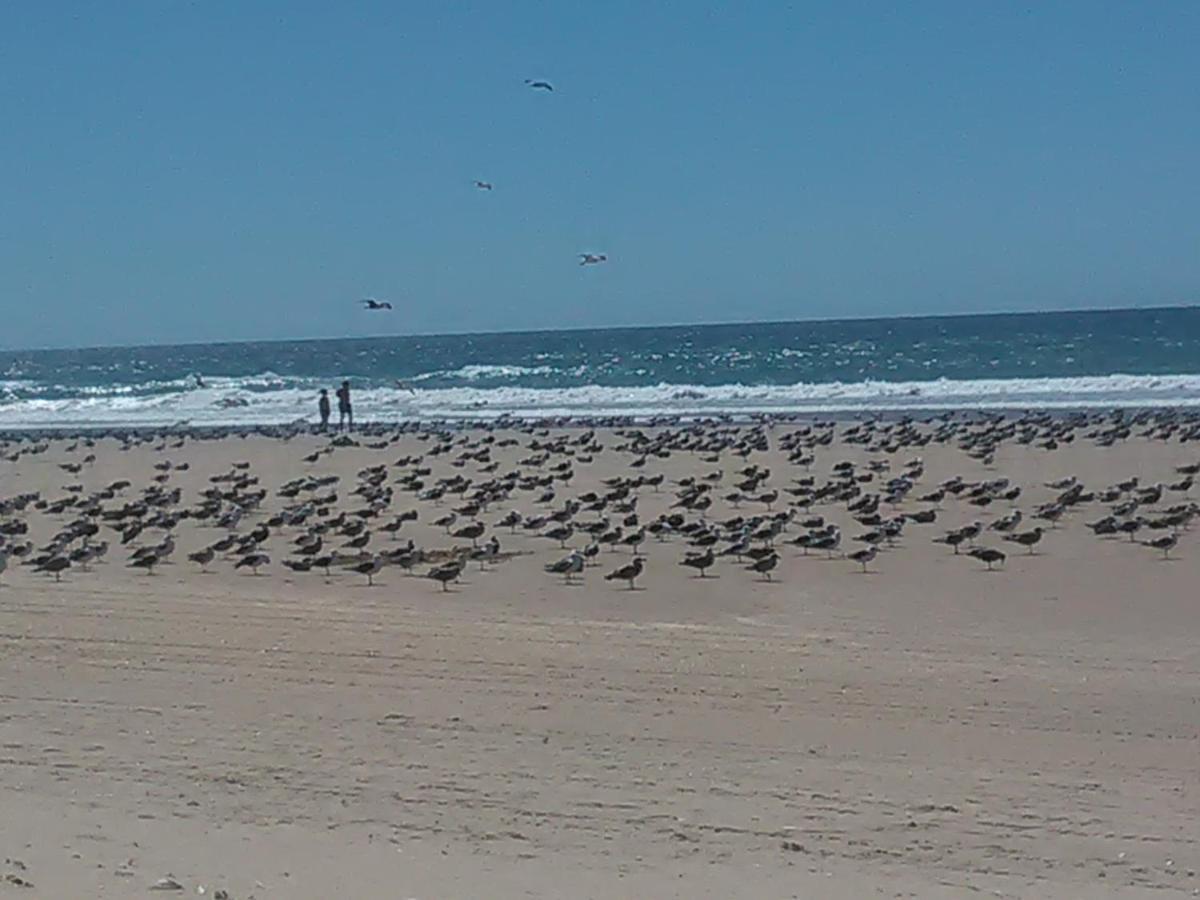 Caparica Holidays Charneca  Buitenkant foto